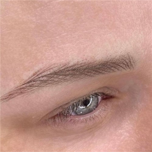 LM Brow tattoo strokes